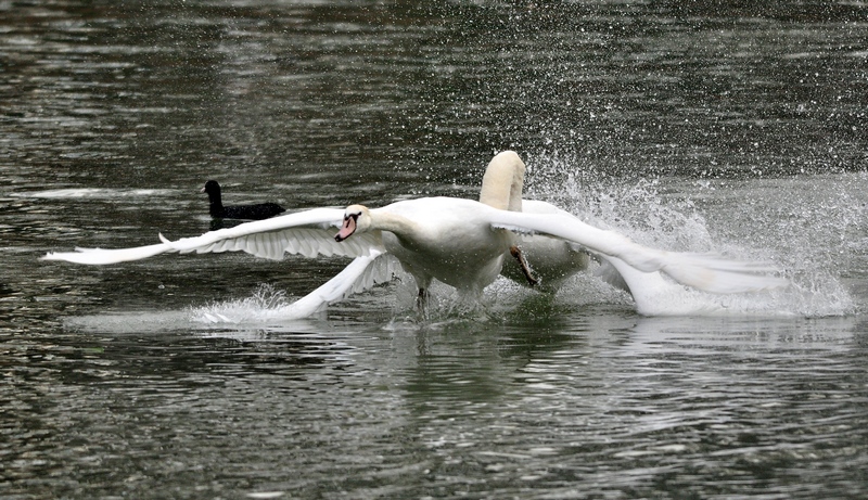 Approcio un p� forte!